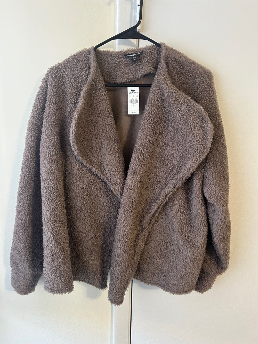 Express Plush Teddy Jacket in Taupe Brown